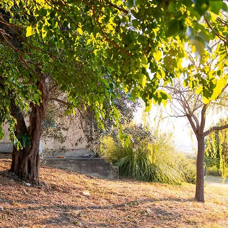 Casale I Ciclamini - Yourplace Abruzzo