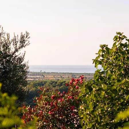 Casale I Ciclamini - Yourplace Abruzzo * Torino di Sangro